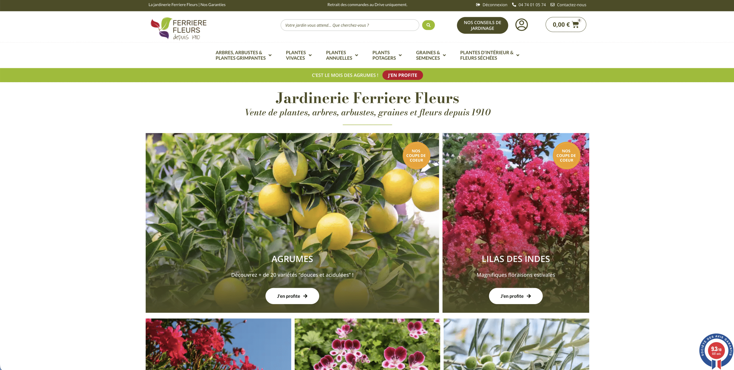 Ferriere Fleurs