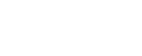 stere-business-intelligence-1.png